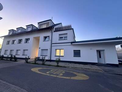 Office / Business kaufen in 8055 Steiermark