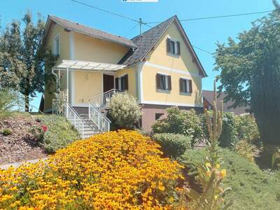 Haus kaufen in 8523 Frauental (Bild 3)