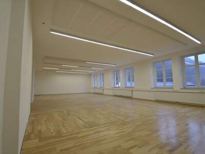 Gewerbeobjekt mieten in 4040 Linz (Bild 3)