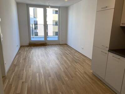 Terrassenwohnung mieten in 1220 Wien (Bild 5)