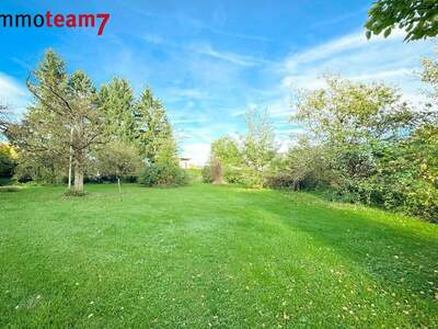 Grundstück kaufen in 6972 Fußach