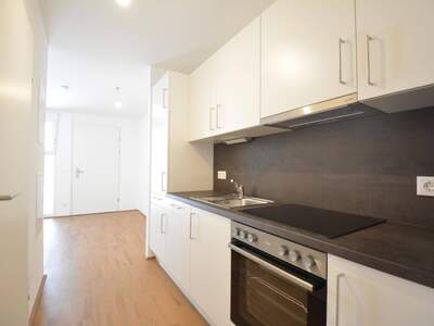 Wohnung mieten in 8055 Graz