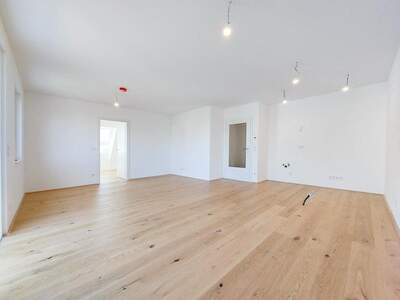 Terrassenwohnung kaufen in 1220 Wien (Bild 2)