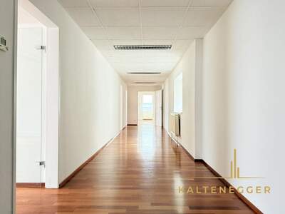 Gewerbeobjekt mieten in 1190 Wien (Bild 5)