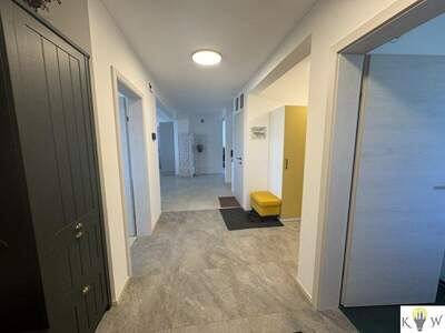 Haus kaufen in 2473 Potzneusiedl (Bild 5)