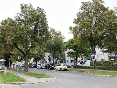 Wohnung mieten in 9500 Villach (Bild 1)