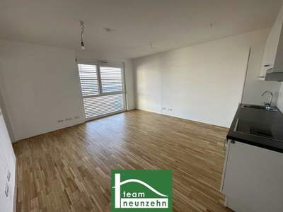 Terrassenwohnung mieten in 8020 Graz (Bild 1)