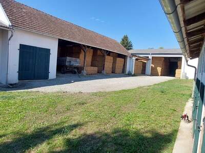 Mehrfamilienhaus kaufen in 2253 Weikendorf (Bild 4)
