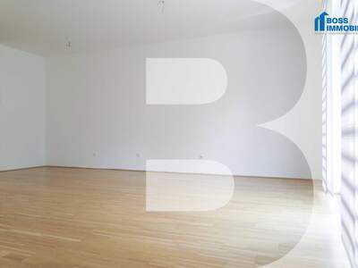 Anlageobjekt kaufen in 4050 Traun