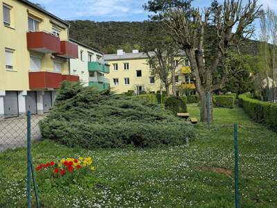 Terrassenwohnung kaufen in 2371 Hinterbrühl (Bild 1)