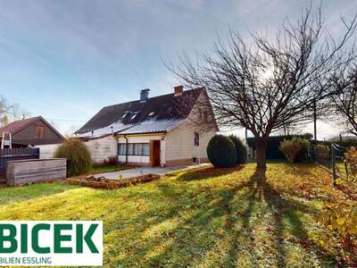 Haus mieten in 1220 Wien (Bild 2)