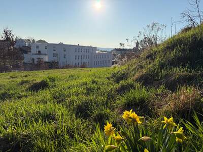 Grundstück kaufen in 4311 Schwertberg