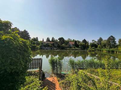 Haus kaufen in 7035 Steinbrunn (Bild 1)