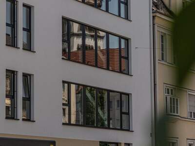 Immobilie kaufen in 4020 Linz (Bild 3)