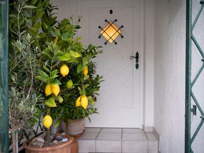 Haus mit Garten kaufen in 3400 Kierling (Bild 3)