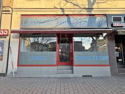 Gewerbeobjekt mieten in 1130 Wien (Bild 2)