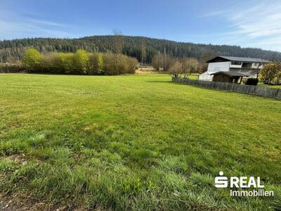 Grundstück kaufen in 5350 Strobl (Bild 2)