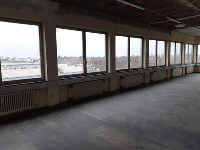 Gewerbeobjekt mieten in 2460 Bruck an der Leitha (Bild 4)