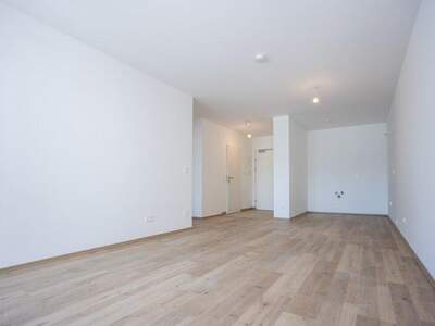Terrassenwohnung kaufen in 2700 Wr. Neustadt (Bild 4)