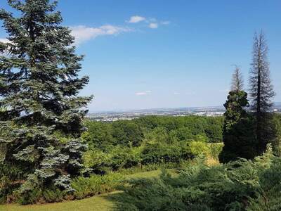 Grundstück kaufen in 2380 Perchtoldsdorf