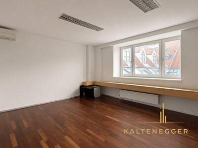 Gewerbeobjekt mieten in 1190 Wien (Bild 2)