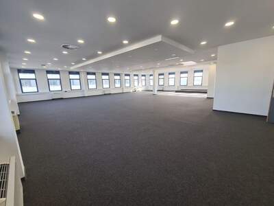 Gewerbeobjekt mieten in 1230 Wien (Bild 4)