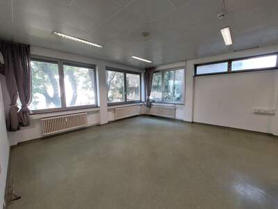 Gewerbeobjekt mieten in 2460 Bruck an der Leitha (Bild 5)
