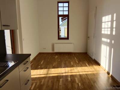Altbauwohnung mit Balkon in 8082 Kirchbach (Bild 1)