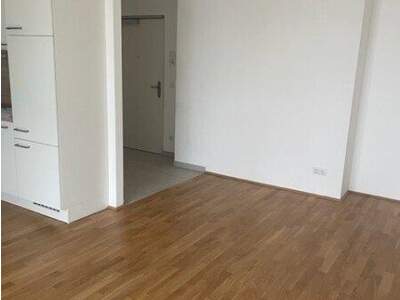 Terrassenwohnung mieten in 1230 Wien (Bild 3)