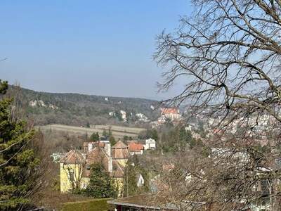 Grundstück kaufen in 2340 Mödling (Bild 4)