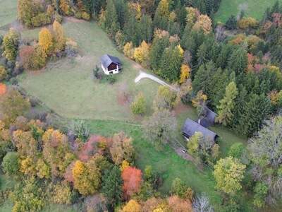 Gewerbeobjekt kaufen in 8153 Geistthal (Bild 1)