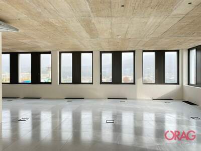 Gewerbeobjekt mieten in 4020 Linz (Bild 4)