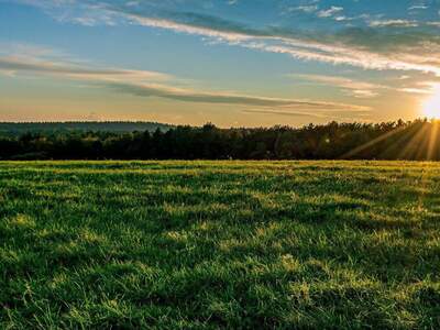 Gewerbeobjekt kaufen in 2620 Neunkirchen
