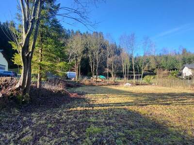 Grundstück kaufen in 4180 Saumstraß (Bild 4)