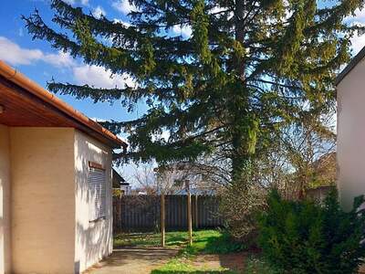 Haus mit Garten kaufen in 2182 Palterndorf (Bild 1)