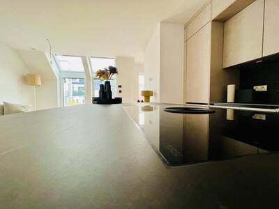 Terrassenwohnung kaufen in 1050 Wien (Bild 3)