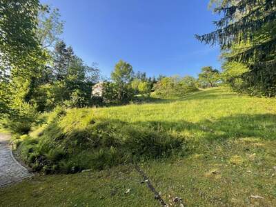 Apartment provisionsfrei mieten in 9100 Kärnten