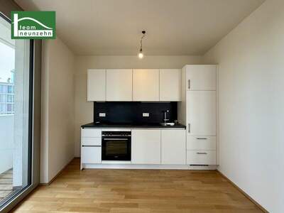 Terrassenwohnung mieten in 1100 Wien (Bild 2)