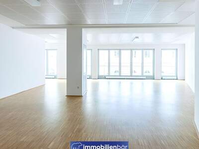 Gewerbeobjekt mieten in 4020 Linz (Bild 1)