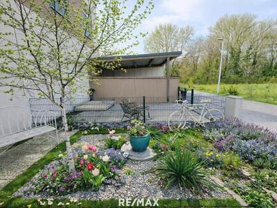 Haus mit Garten kaufen in 2485 Wimpassing (Bild 4)