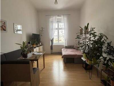 Wohnung mieten in 4600 Wels (Bild 5)