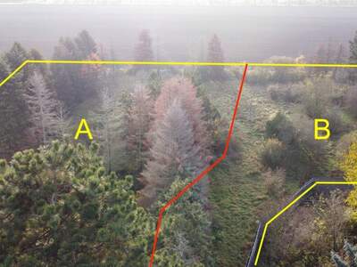 Grundstück kaufen in 2230 Gänserndorf