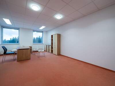 Gewerbeobjekt mieten in 4800 Attnang (Bild 4)