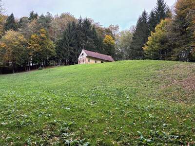 Gewerbeobjekt kaufen in 8461 Ehrenhausen (Bild 4)
