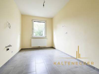 Gewerbeobjekt mieten in 2331 Vösendorf (Bild 3)