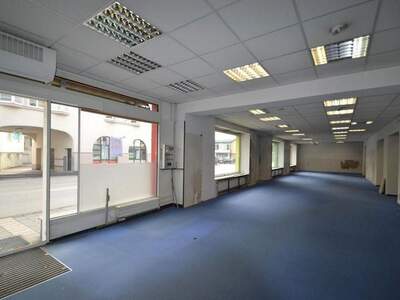 Gewerbeobjekt kaufen in 3250 Wieselburg (Bild 2)