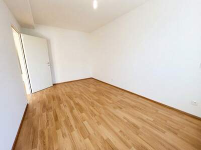 Terrassenwohnung mieten in 2232 Deutsch (Bild 4)