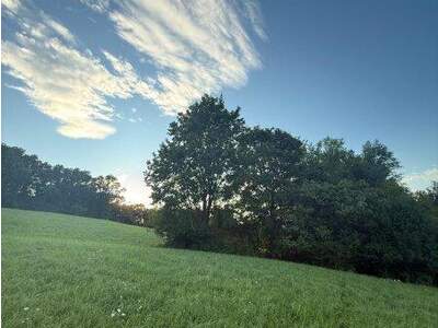 Grundstück kaufen in 3433 Königstetten (Bild 2)