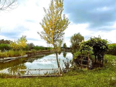 Gewerbeobjekt kaufen in 7064 Oslip (Bild 1)