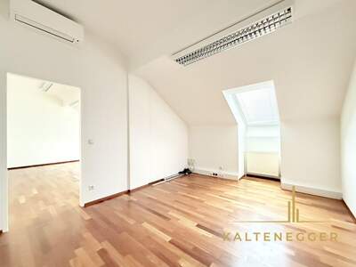 Gewerbeobjekt mieten in 1190 Wien (Bild 3)